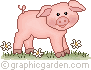 pigsg1b.gif